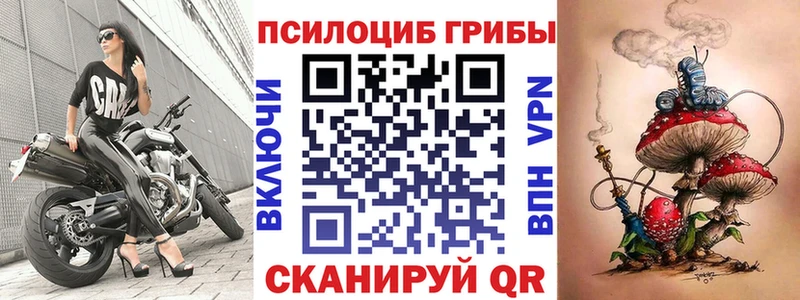 Псилоцибиновые грибы MAGIC MUSHROOMS  как найти закладки  Серафимович 